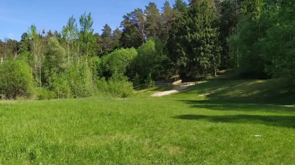 Stadion leśny w Olsztynie